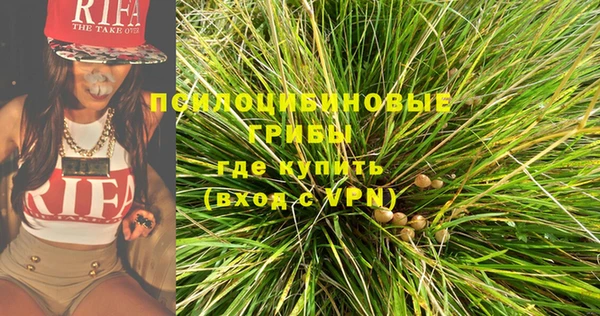 сатива Наволоки