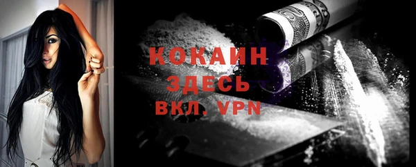 сатива Наволоки