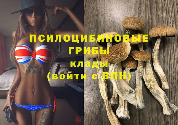 прущие крисы Михайлов