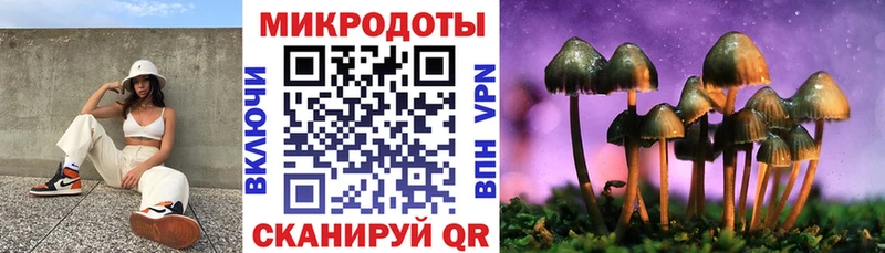 Галлюциногенные грибы Psilocybe  хочу наркоту  Задонск 